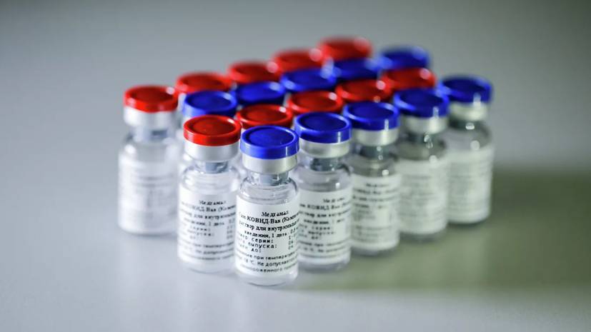 В Латинскую Америку поставят до 100 млн доз вакцины «Спутник V»