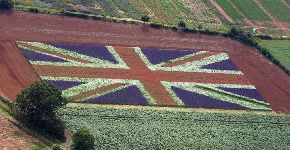Сельское хозяйство Британии будет уничтожено – The Guardian о последствиях планов правительства