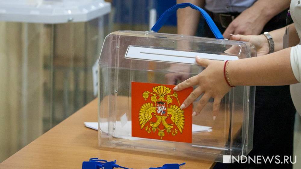 Голосуют активнее, чем за Конституцию: в Общественной палате оценили первые итоги региональных выборов