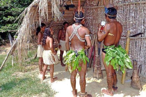 В Бразилии индейцы застрелили из лука ученого