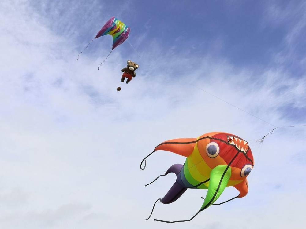 В Петербурге проходит фестиваль воздушных змеев «Летать легко!»