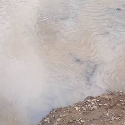 Вода в реке Чертановке на юге Москвы нагрелась до 50 градусов