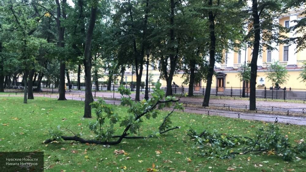 Петербуржцев предупредили о надвигающемся шторме
