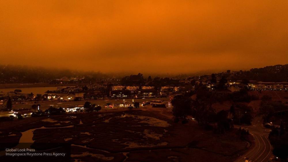 Минимум 28 человек погибли в результате лесных пожаров в США