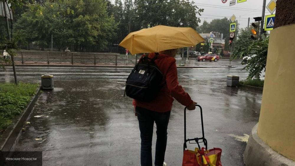 Погода в Петербурге продолжает преподносить сюрпризы горожанам