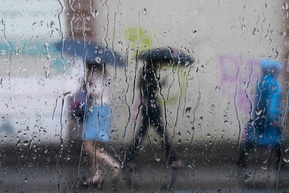 Жителей Ленобласти в понедельник снова ждут дожди