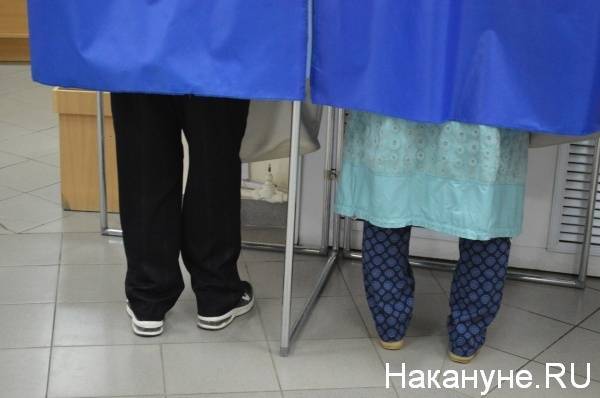 В Челябинской области снизилась явка по сравнению с кампанией пятилетней давности