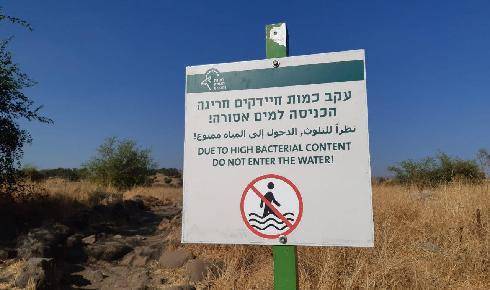 Вспышка опасного заболевания на севере Израиля: эксперты предупреждают о волне заражения