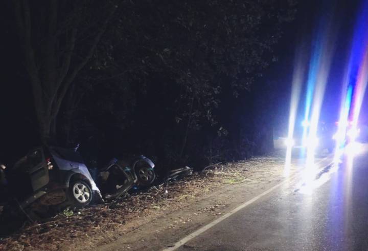 В Ленобласти автомобиль вылетел в кювет: один человек погиб и шестеро пострадали