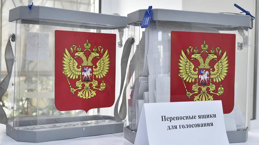 Общественная палата России выявила три тысячи фейков о голосовании