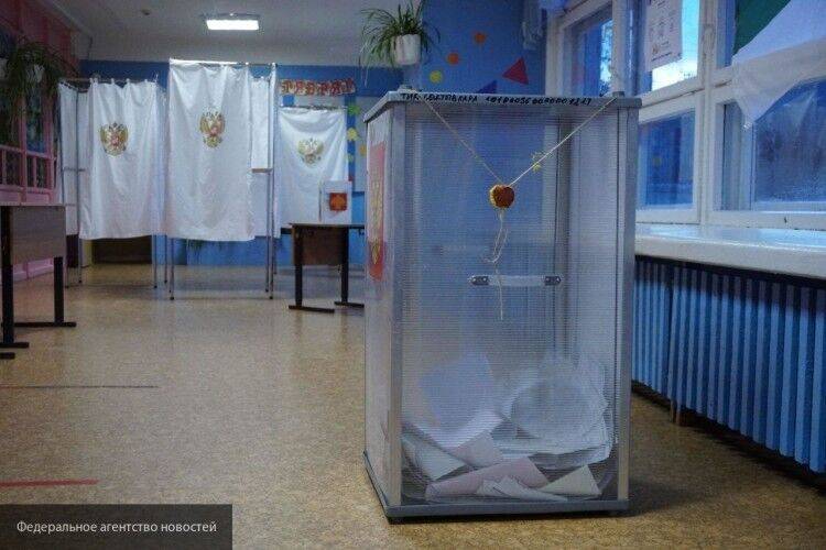 Общественник Григорьев позитивно оценил проведение выборов в РФ