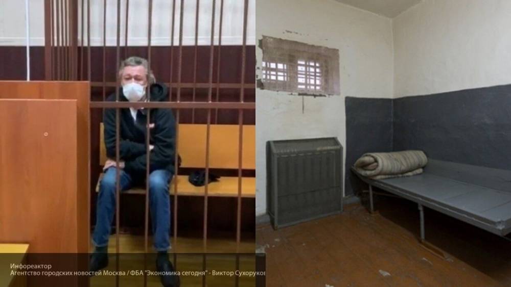 Правозащитник: Ефремов сможет хорошо питаться в тюрьме
