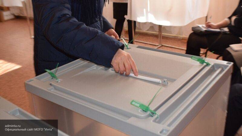 Гревцова: оппозиция попытается подорвать авторитетность выборов