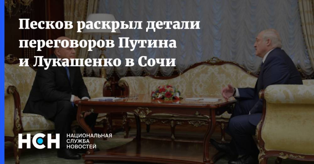 Песков раскрыл детали переговоров Путина и Лукашенко в Сочи