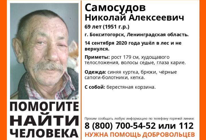 Ушел в лес и не вернулся: в Ленобласти ищут 69-летнего жителя Бокситогорска