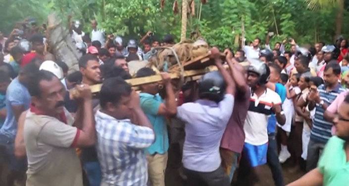 Жители Шри-Ланки поймали пятиметрового крокодила