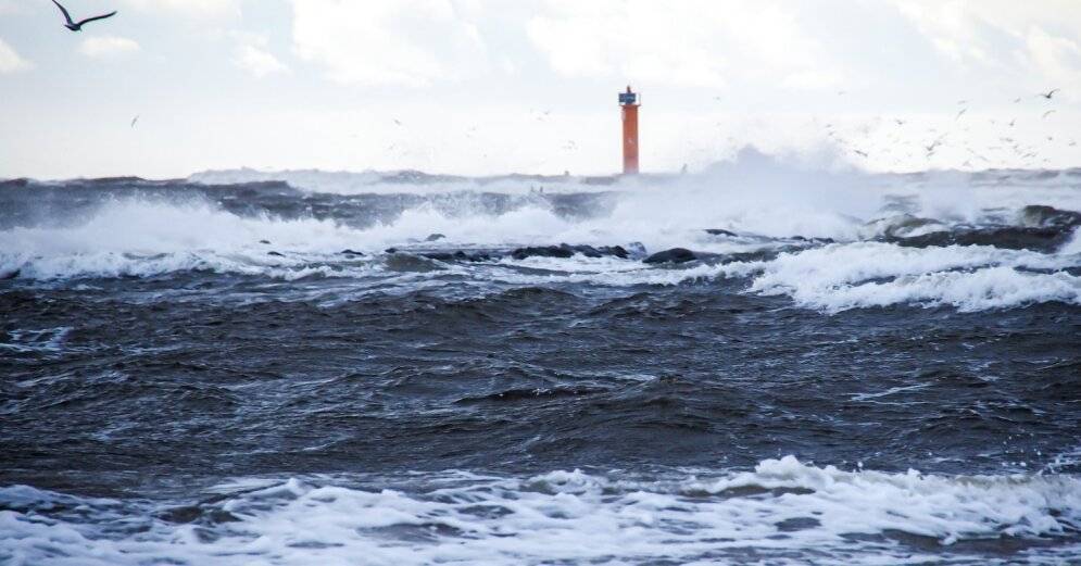 Синоптики предупреждают о буре, самые серьезные последствия ожидаются в Риге ее окрестностях