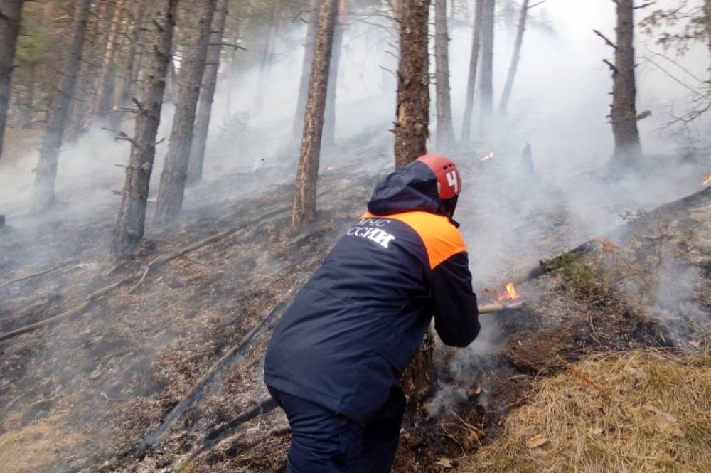 В Карачаево-Черкесии загорелось почти 7 га леса