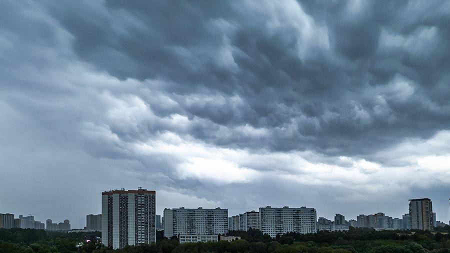 В МЧС предупредили об усилении ветра в Москве до 26 м/с