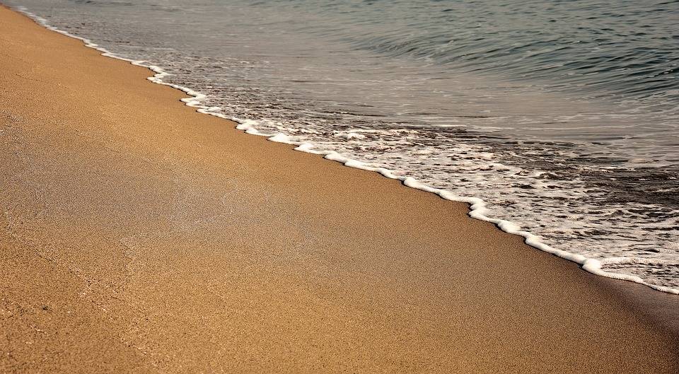 Американец обнаружил на пляже обернутый в фольгу мозг - Cursorinfo: главные новости Израиля