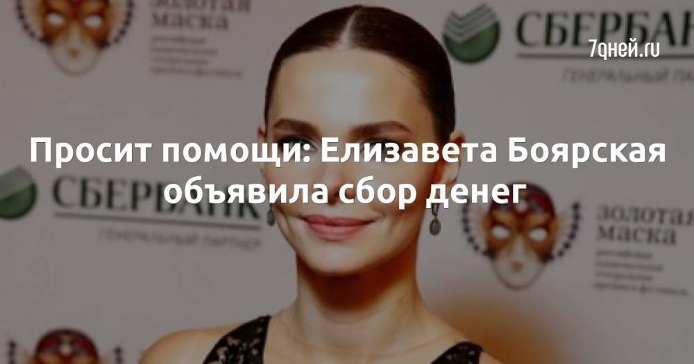 Просит помощи: Елизавета Боярская объявила сбор денег