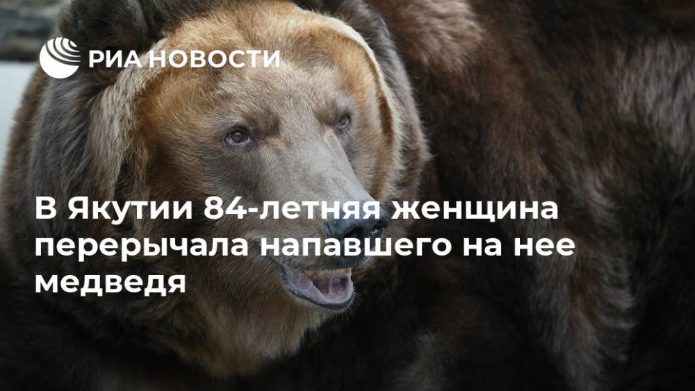В Якутии 84-летняя женщина перерычала напавшего на нее медведя