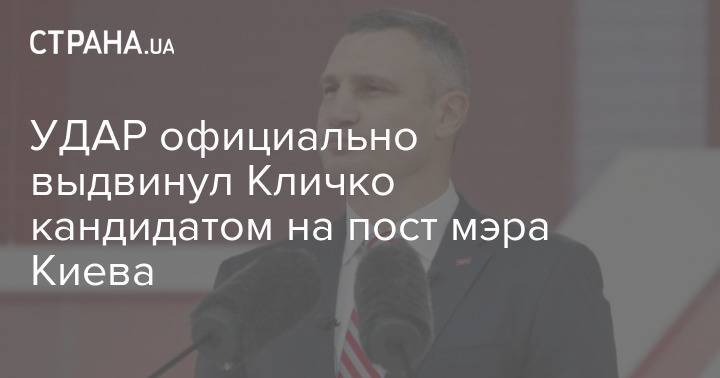 УДАР официально выдвинул Кличко кандидатом на пост мэра Киева