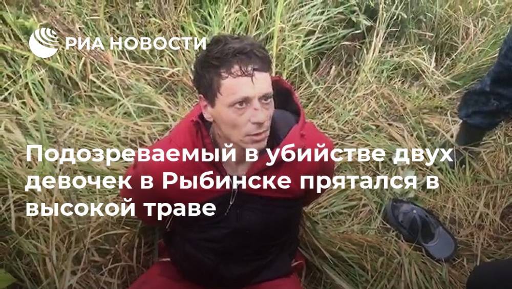 Подозреваемый в убийстве двух девочек в Рыбинске прятался в высокой траве