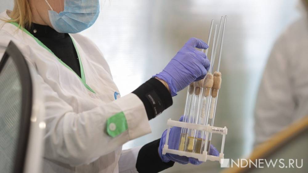 Число новых случаев коронавируса в России вновь превысило 6000