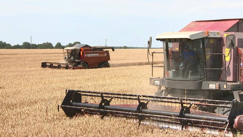 Свыше миллиона тонн зерна собрали в Могилёвской области