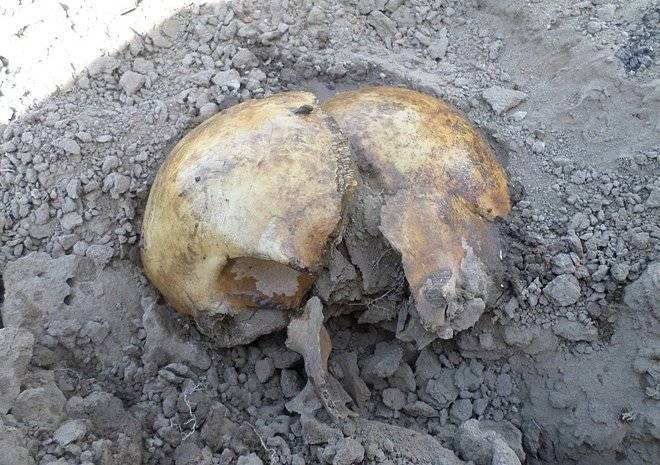 Некрополь, обнаруженный в центре Рязани, начали разрывать