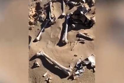 Российские охотники нашли десять человеческих скелетов с простреленными черепами