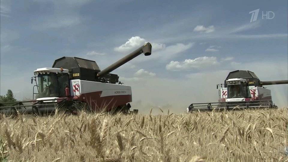122 млн тонн зерна планируют собрать в России в этом году
