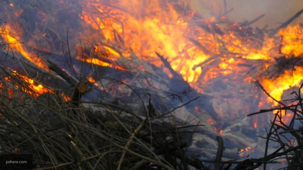 МЧС Ростовской области сообщило об увеличении площади лесных пожаров