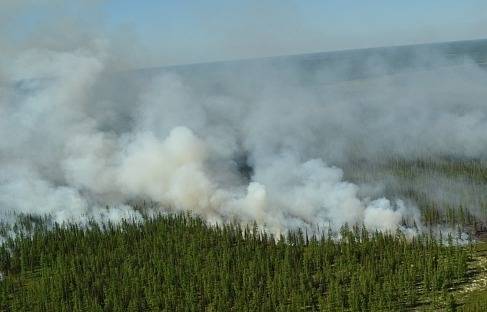 Два человека сгорели во время лесных пожаров в Ростовской области