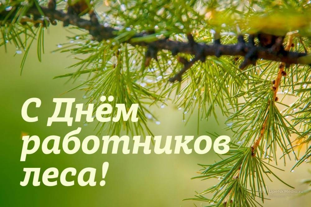 Руководители Липецкой области поздравили работников лесного хозяйства региона с профессиональным праздником