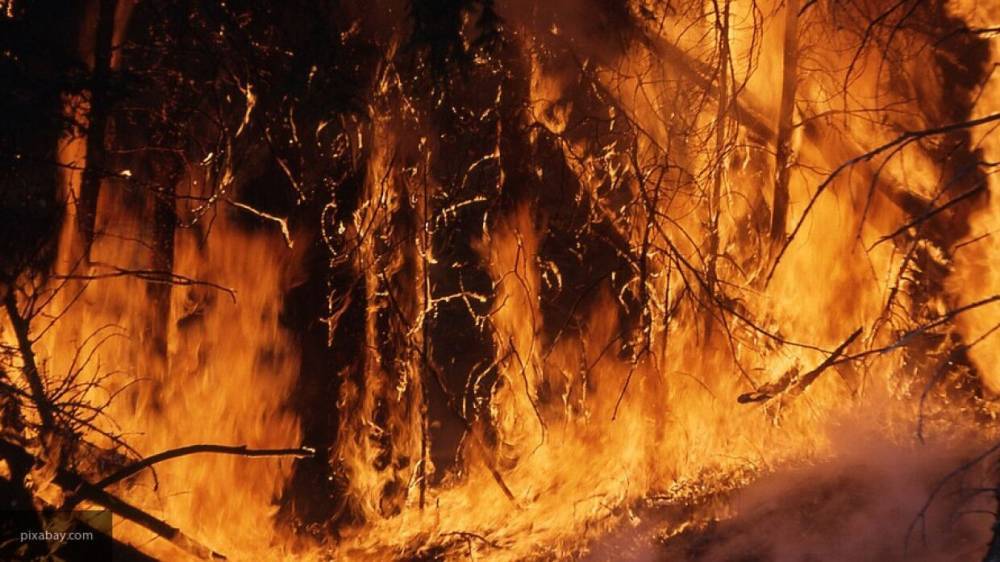 Режим ЧС объявили на Колыме из-за сильнейших пожаров