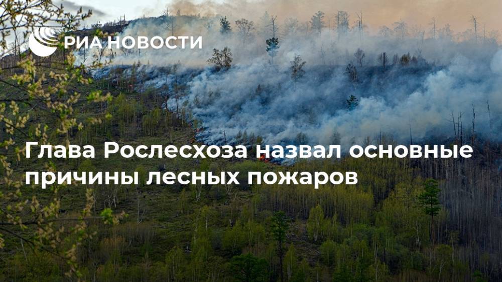 Глава Рослесхоза назвал основные причины лесных пожаров