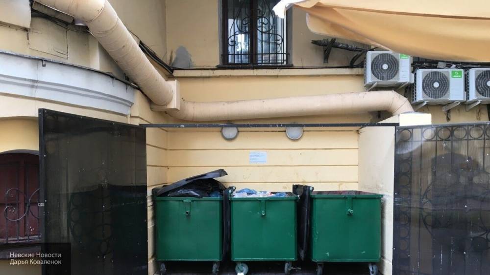Улицы Петербурга очистили от нескольких тонн мусора