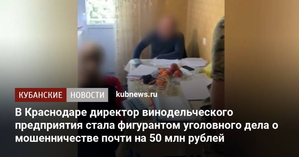 В Краснодаре директор винодельческого предприятия стала фигурантом уголовного дела о мошенничестве почти на 50 млн рублей