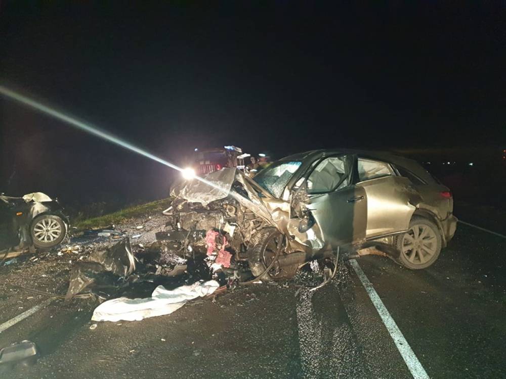 В аварии на трассе в Тюменской области погибли четыре человека и кабан