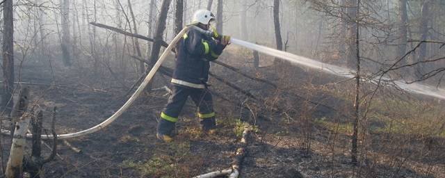 В Магаданской области ввели режим ЧС из-за лесных пожаров
