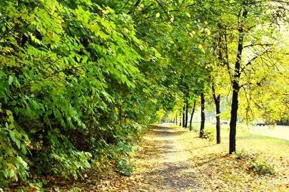 В Башкирии в конце сентября будет теплее обычного