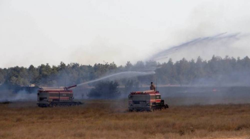 В Херсонской области второй день тушат пожар в лесничестве