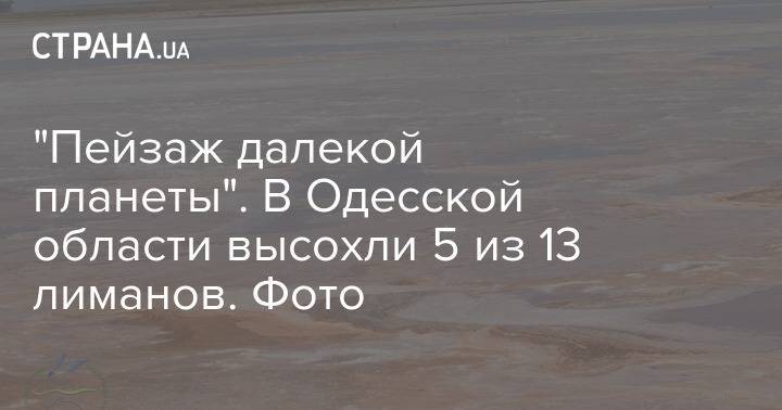 "Пейзаж далекой планеты". В Одесской области высохли 5 из 13 лиманов. Фото