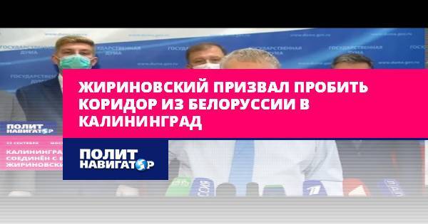 Жириновский призвал пробить коридор из Белоруссии в Калининград