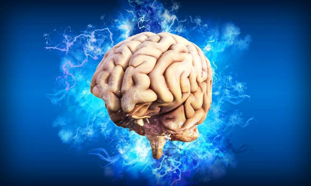 Ученые: «Мозг способен сохранять зрительные образы против воли человека»