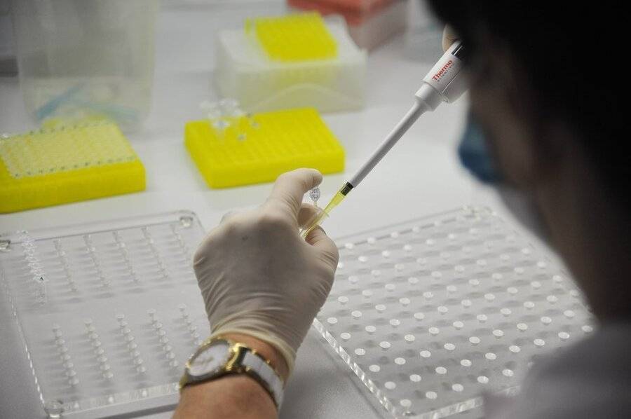 Ученые нашли гены-обманщики иммунитета в раковых клетках