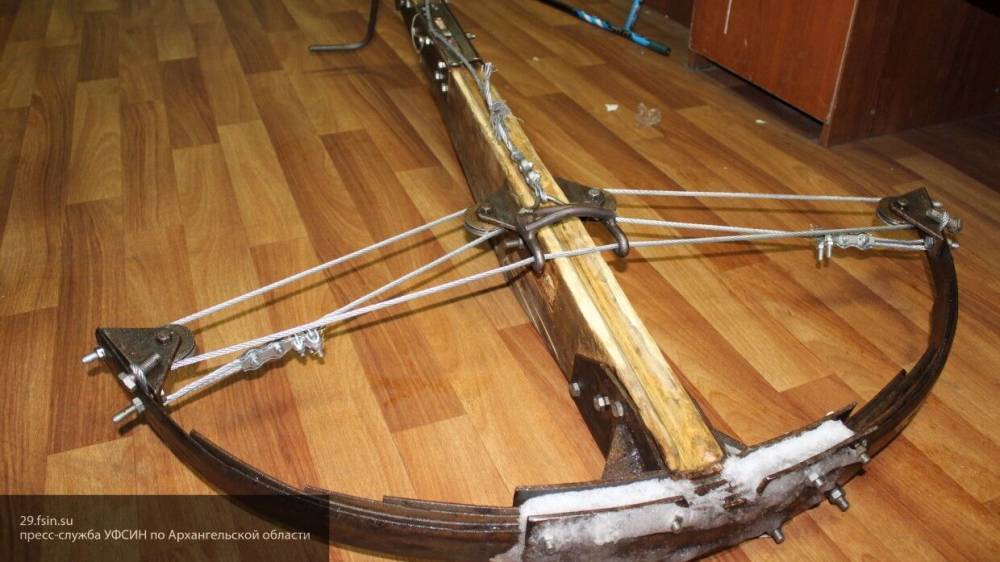 Арбалетная стрела с наркотиками найдена в Приморье