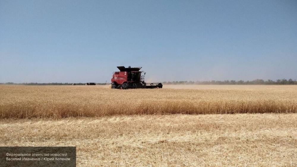 На Западе заявили о достигнутом Россией триумфе на рынке пшеницы
